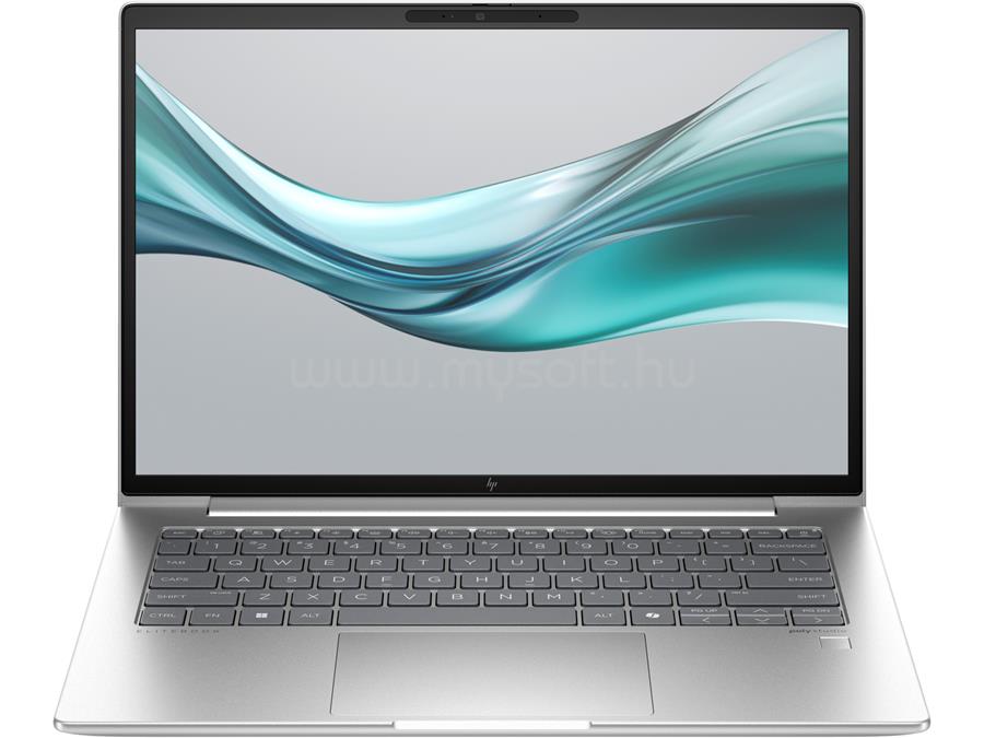 HP EliteBook 645 G11 (Silver)