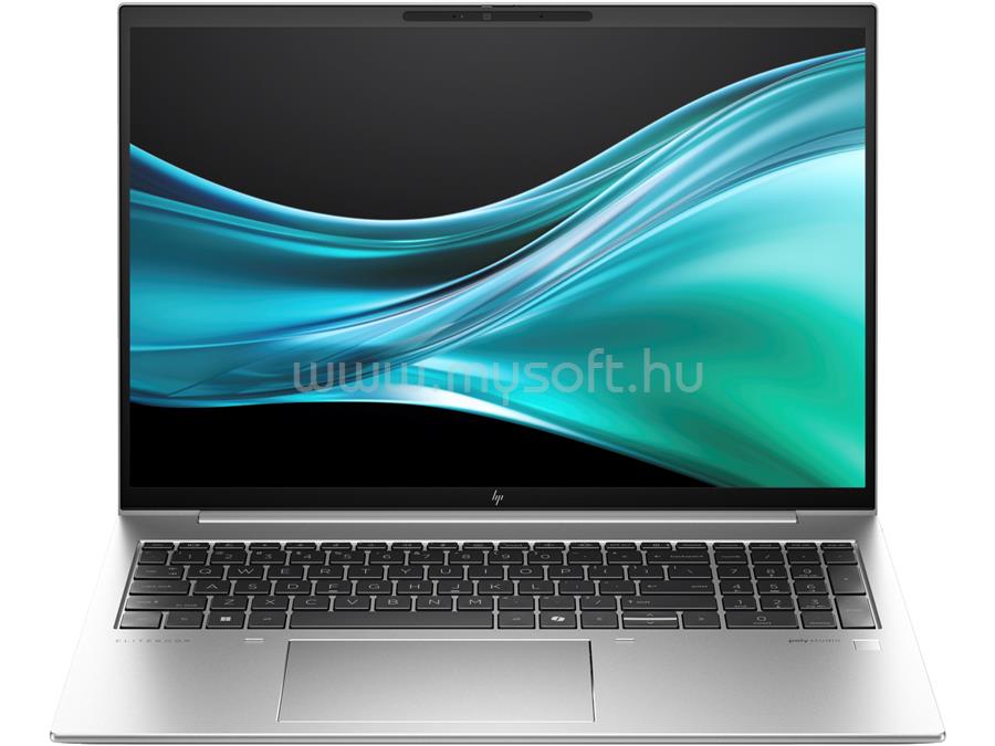 HP EliteBook 865 G11 (Silver)