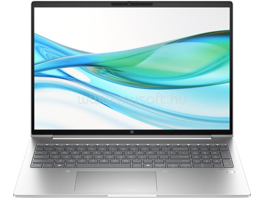 HP ProBook 460 G11 (Silver)