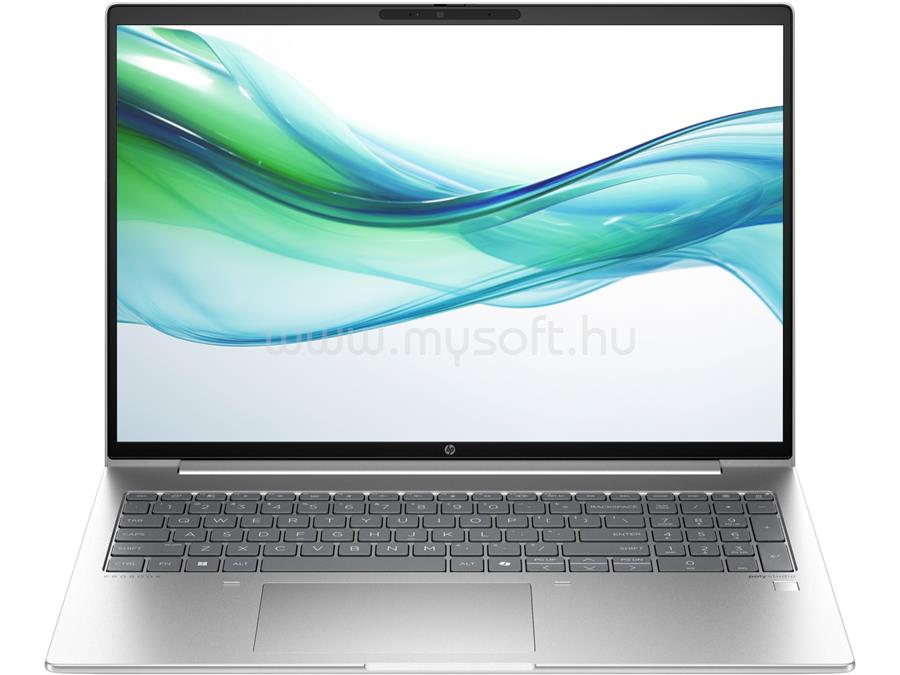 HP ProBook 465 G11 (Silver)
