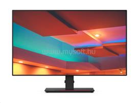 LENOVO ThinkVision P24q-20 Monitor 61F5GAT1EU small