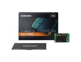 SAMSUNG SSD 1TB mSATA 860 EVO MZ-M6E1T0BW small