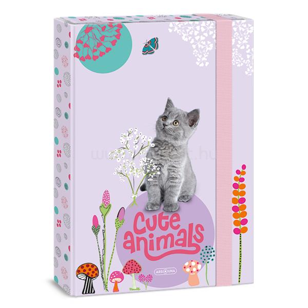 ARS UNA Cute Animals-Kitten 24 (5368) A4 füzetbox
