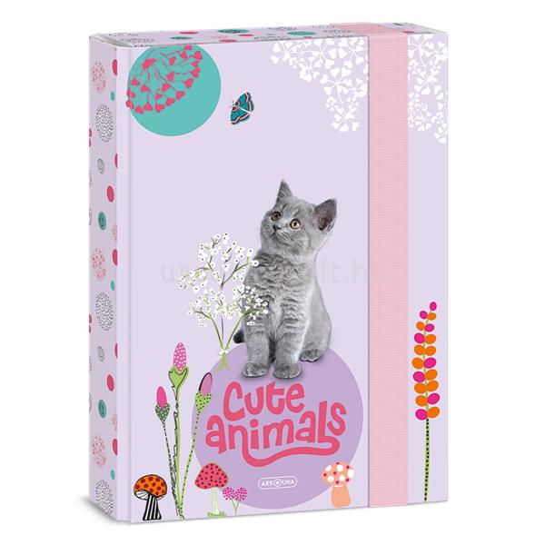 ARS UNA Cute Animals-Kitten 24 (5368) A5 füzetbox