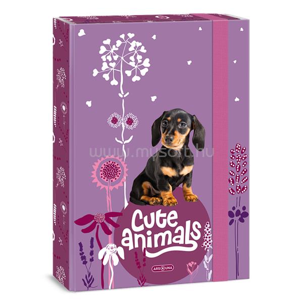 ARS UNA Cute Animals-Puppy 24 (5369) A4 füzetbox