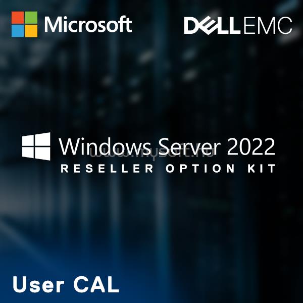 DELL ROK Microsoft Windows Server 2022 English 10 User CAL