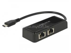 DELOCK Adapter SuperSpeed USB (USB 3.1 Gen 1) USB Type-C  csatlakozódugóval > 2 x Gigabit LAN 10/100 DL63927 small
