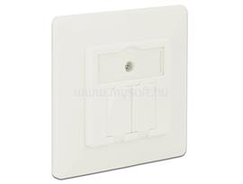 DELOCK Keystone fali csatlakozás 2 Portos kompakt DL86219 small