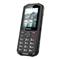 EVOLVEO Strongphone X5 Dual-SIM mobiltelefon (fekete/szürke) SGM_SGP-X5-GY small