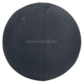 LEITZ Ülőlabda, nehezékkel, 55cm, "Ergo Active", sötétszürke LEITZ_65410089 small