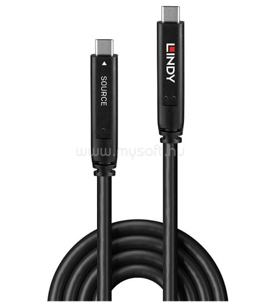 LINDY 10m USB 3.2 Gen 1 & DP 1.4 Type C Hybrid Cable