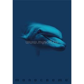 PIGNA Monocromo Blue A4 tűzött 38 lapos vonalas füzet P1111-1856 small