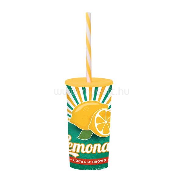 SOLMAZER IRIS Lemonade mintás pohár szívószállal 470ml 161922-027P