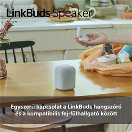 SONY SRS-LS1 LinkBuds szürke hordozható Bluetooth hangszóró SONY_SRSLS1H.CE7 small