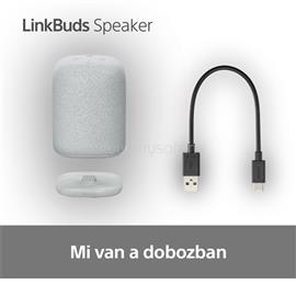 SONY SRS-LS1 LinkBuds szürke hordozható Bluetooth hangszóró SONY_SRSLS1H.CE7 small