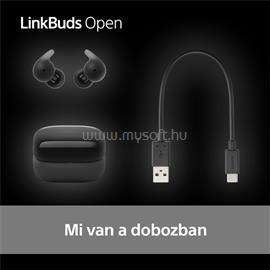 SONY WF-L910 Linkbuds Open True Wireless Bluetooth fülhallgató (fekete) SONY_WFL910B.CE7 small